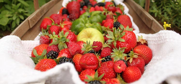 Summer strawberry-blackberry-raspberry smoothie